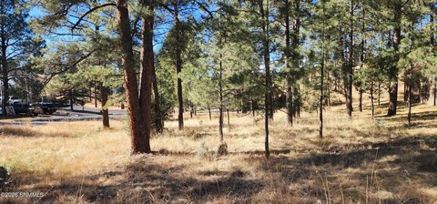 LAND - Ruidoso, NM
