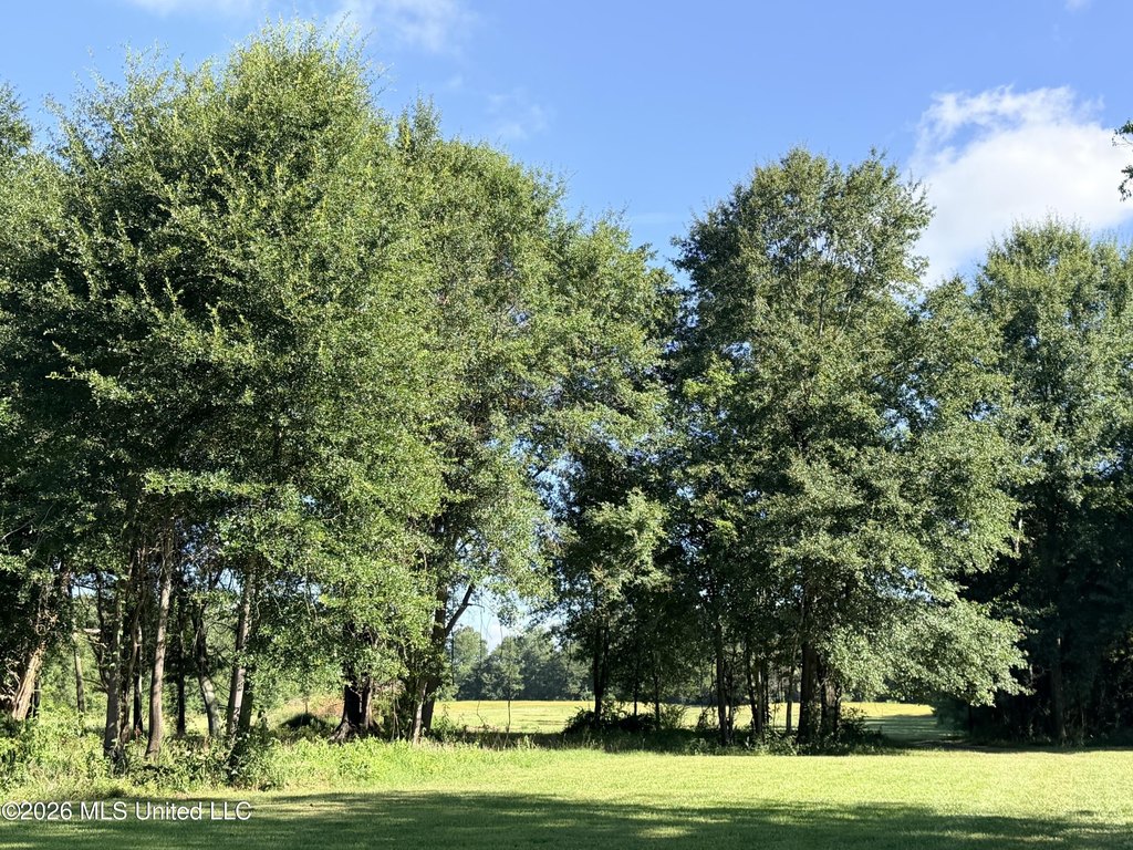 Picture 19