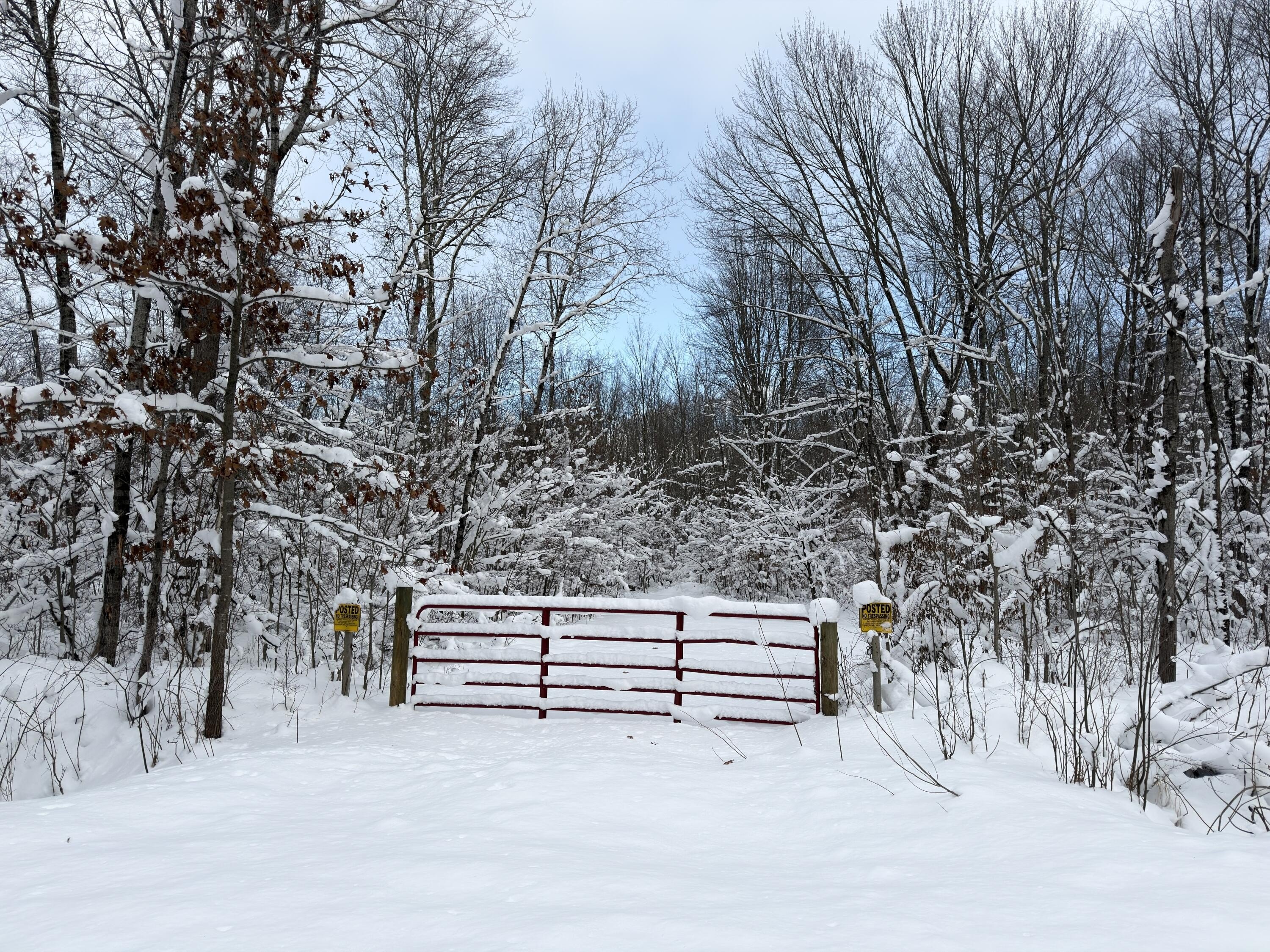 Branch, MI Land with Privacy