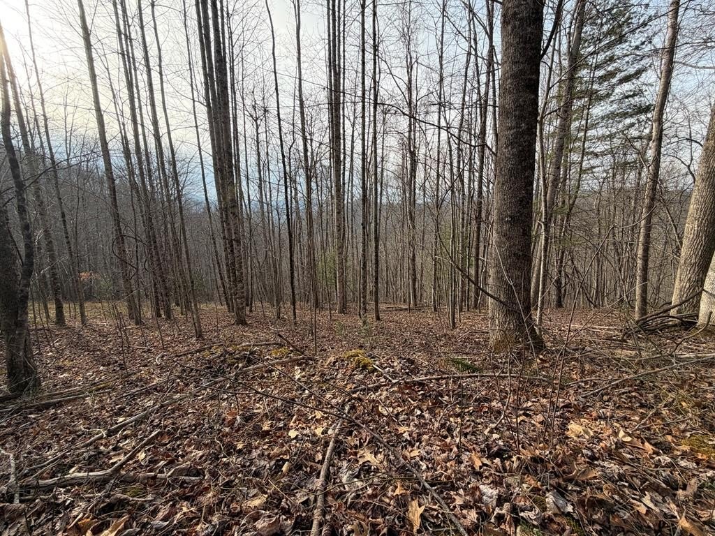 Picture 51