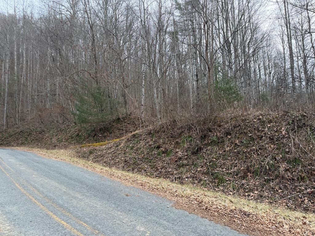 Picture 30