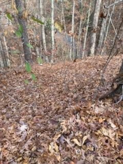 Woodsy Lot in Vickwood Hills