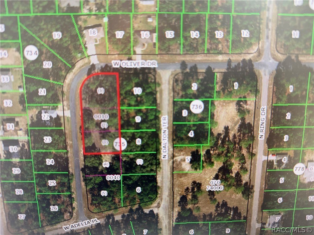 Citrus Springs Land Package