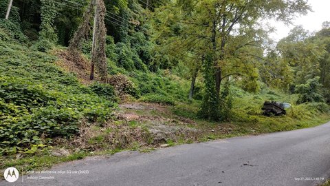 Unrestricted Land Near Pigeon River