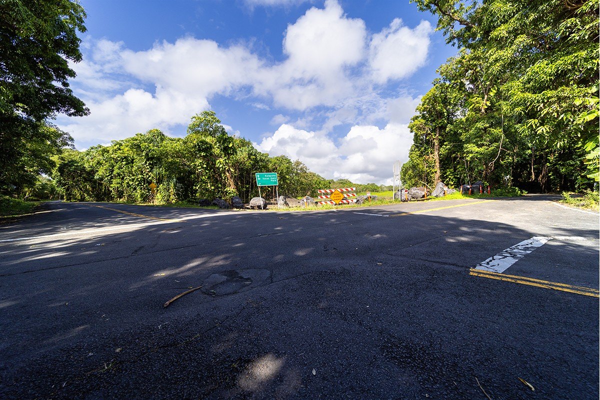 Expansive Pahoa Land Holding