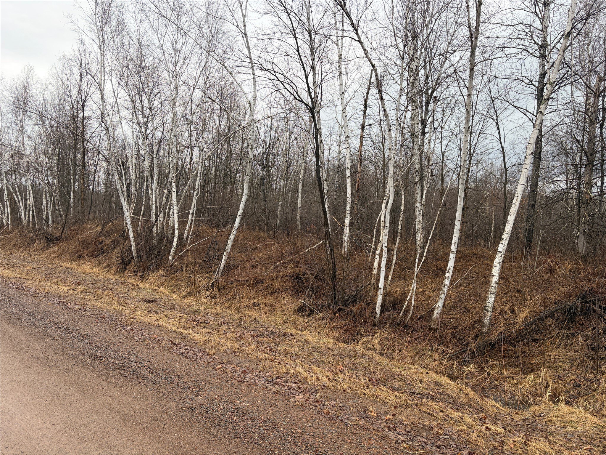 Ladysmith, WI Forestland