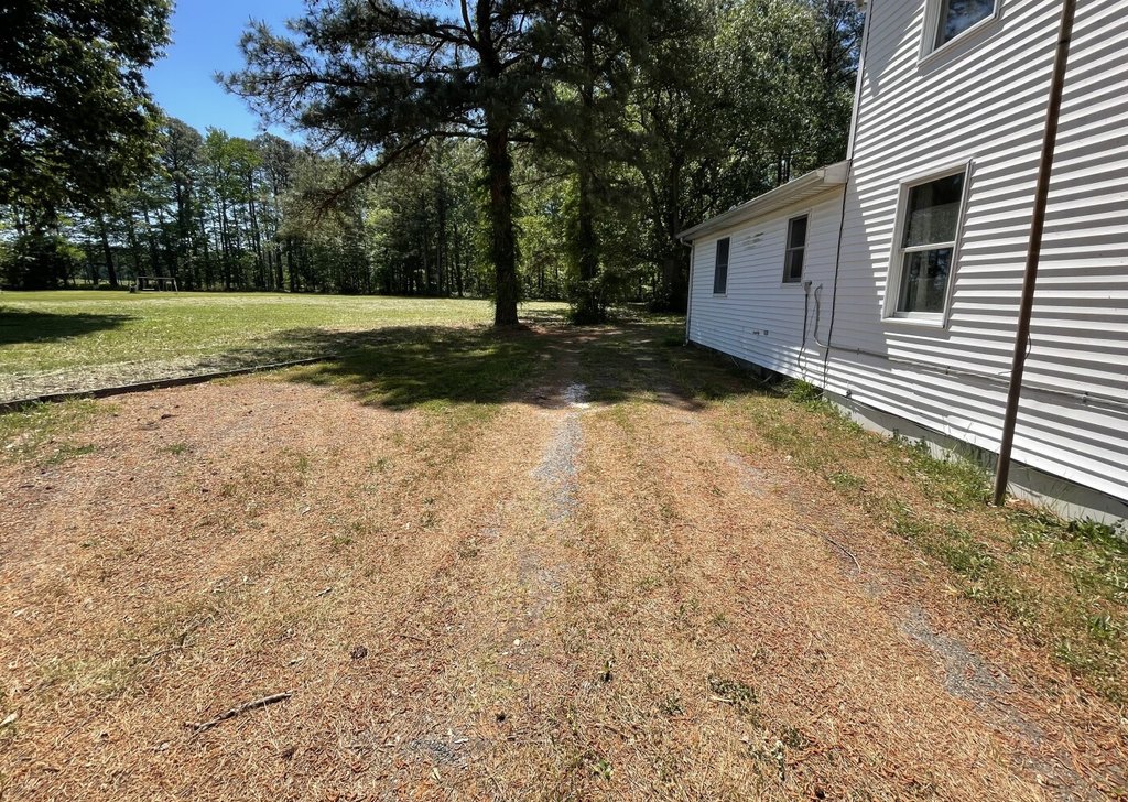 Picture 5
