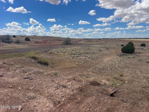 Taylor, AZ Land Opportunity