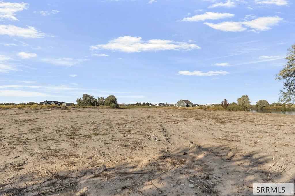 Picture 23