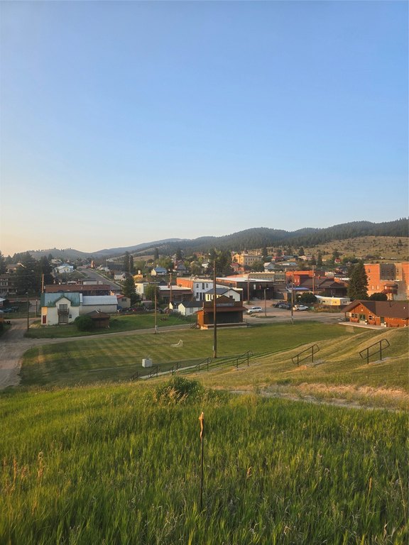 Picture 8