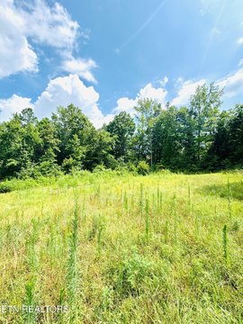 Lots & Acreage, Athens, TN