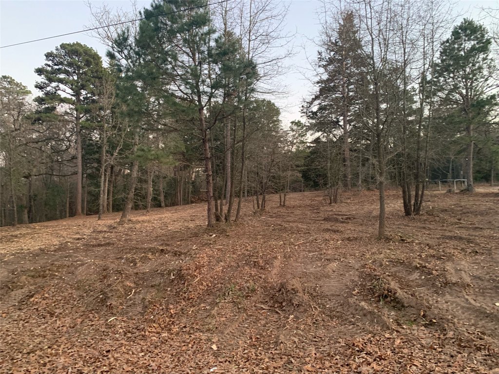 Picture 6