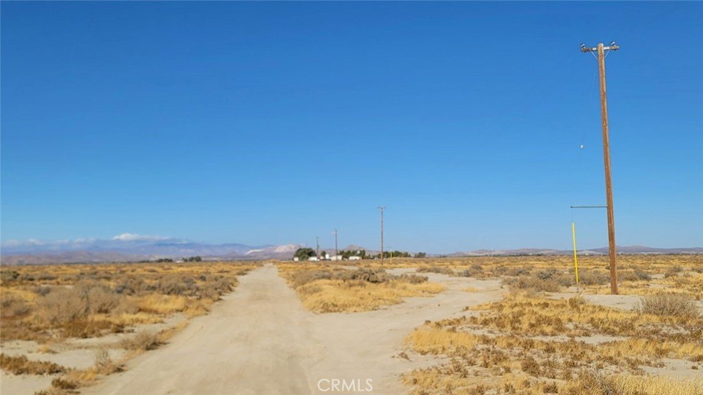Picture 3