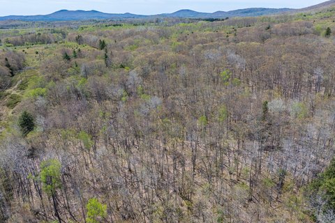 20-Acre Land Parcel in Lincolnville