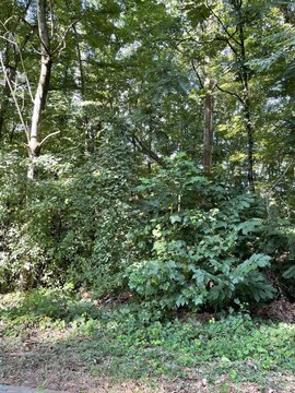 Land, Morristown, TN