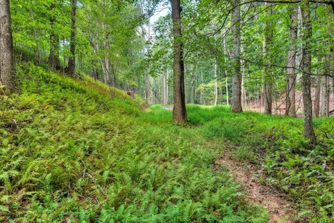 Acreage, Blue Ridge, GA