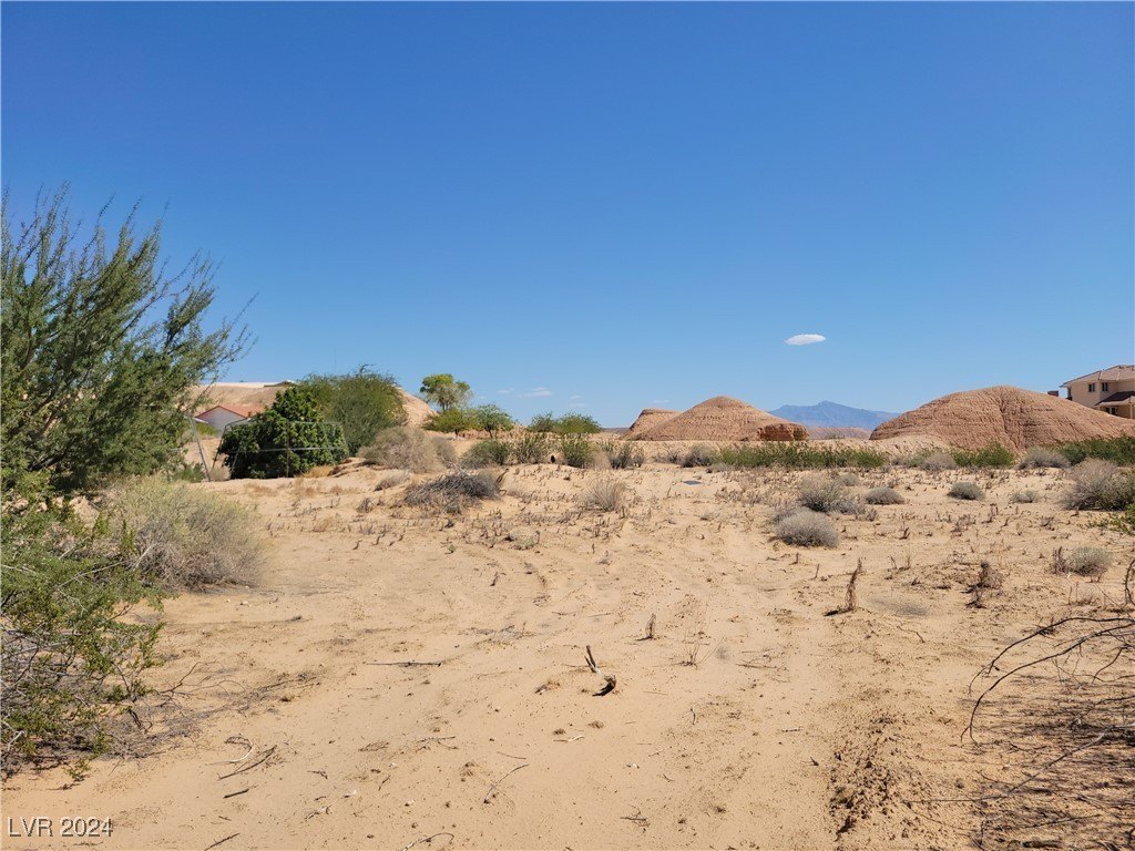 Picture 24