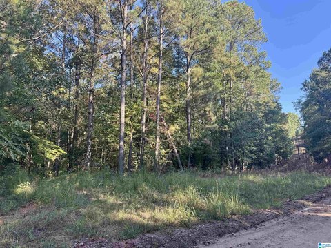 LAND/LOTS, WEDOWEE, AL