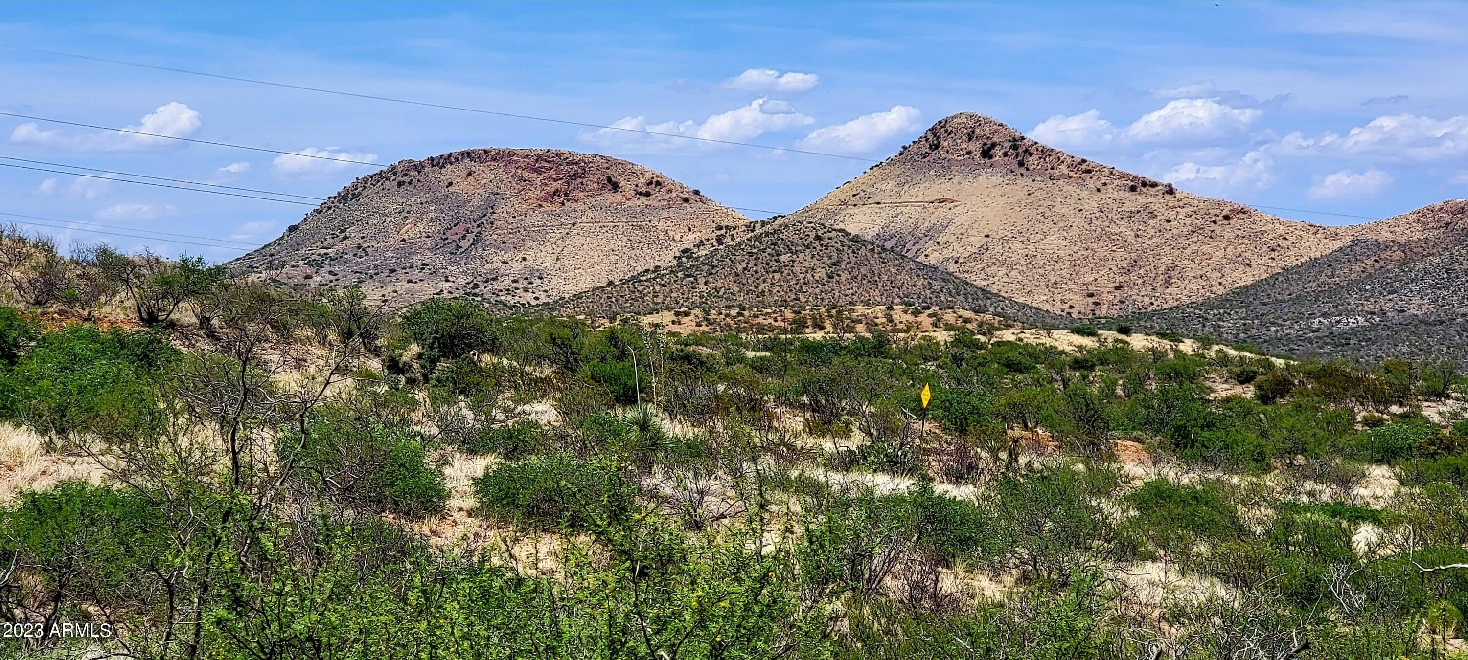 Land in Elfrida, Arizona