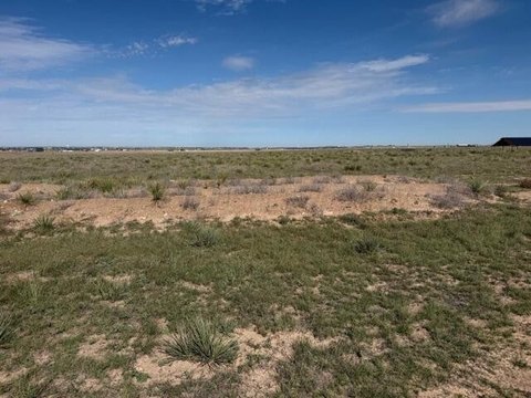 Land -40, Canyon, TX
