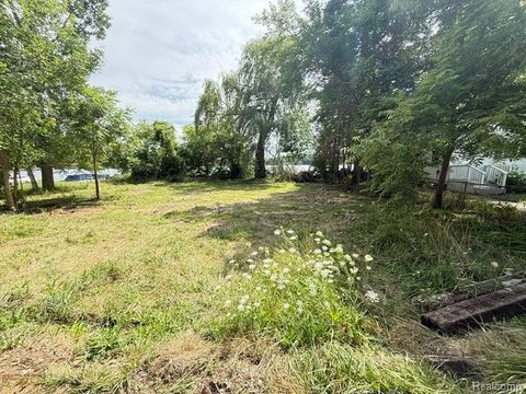 Vacant Land, Deerfield Twp, MI