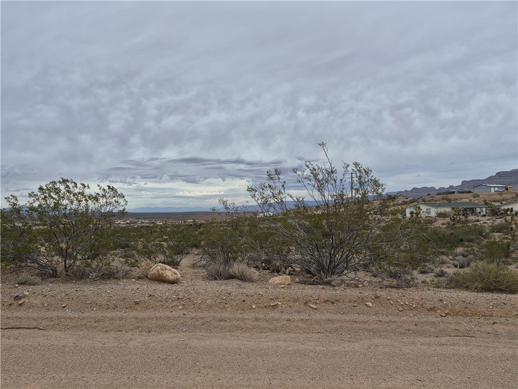 Picture 2