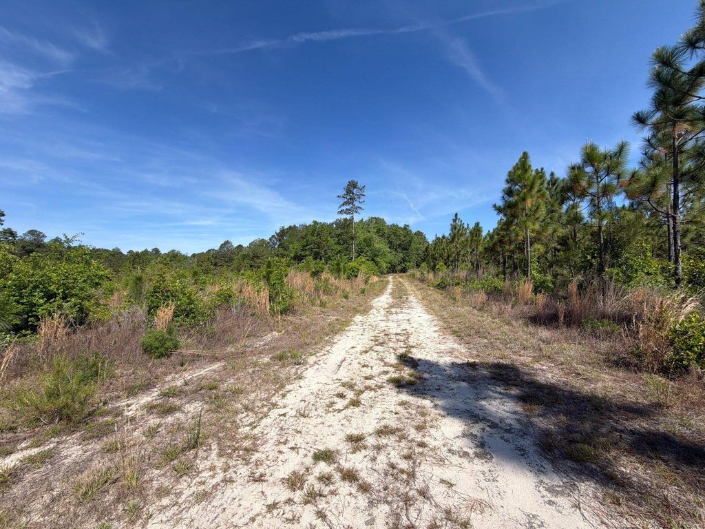 Picture 6