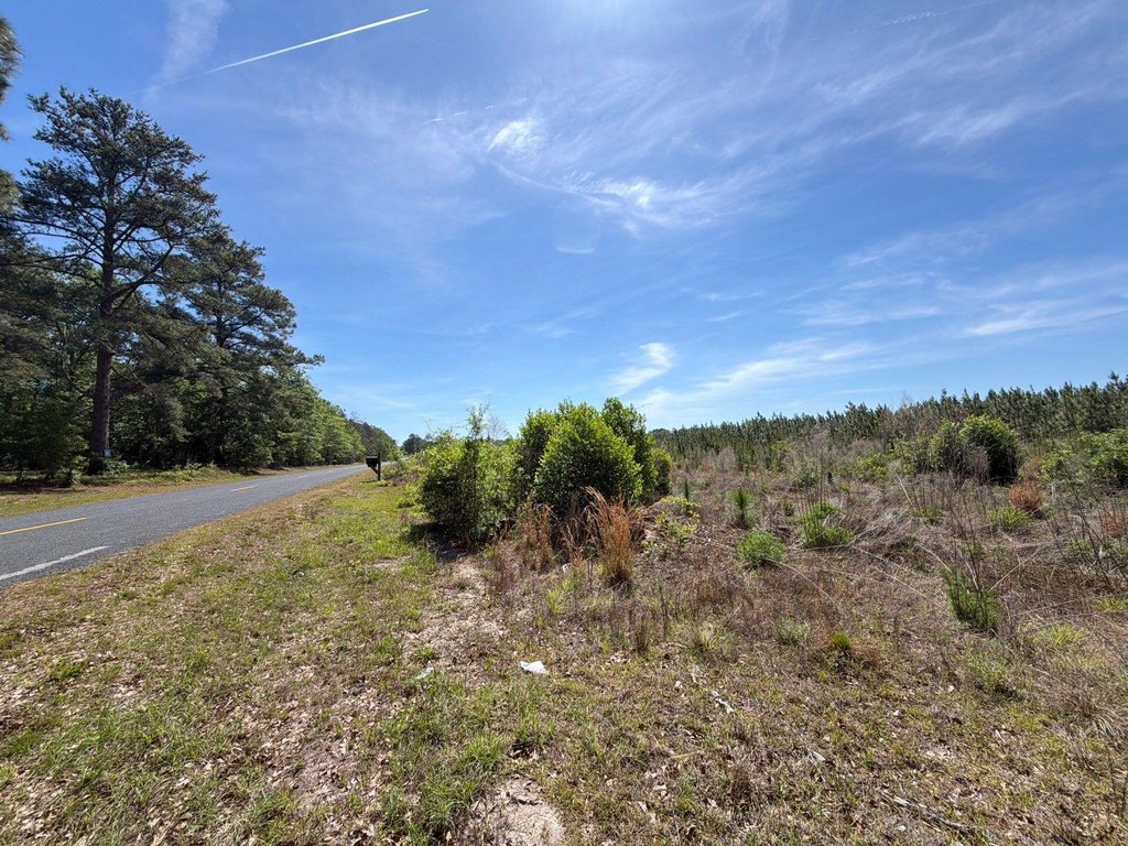 Picture 20