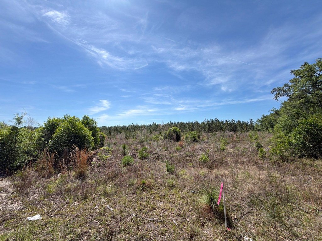 Picture 19