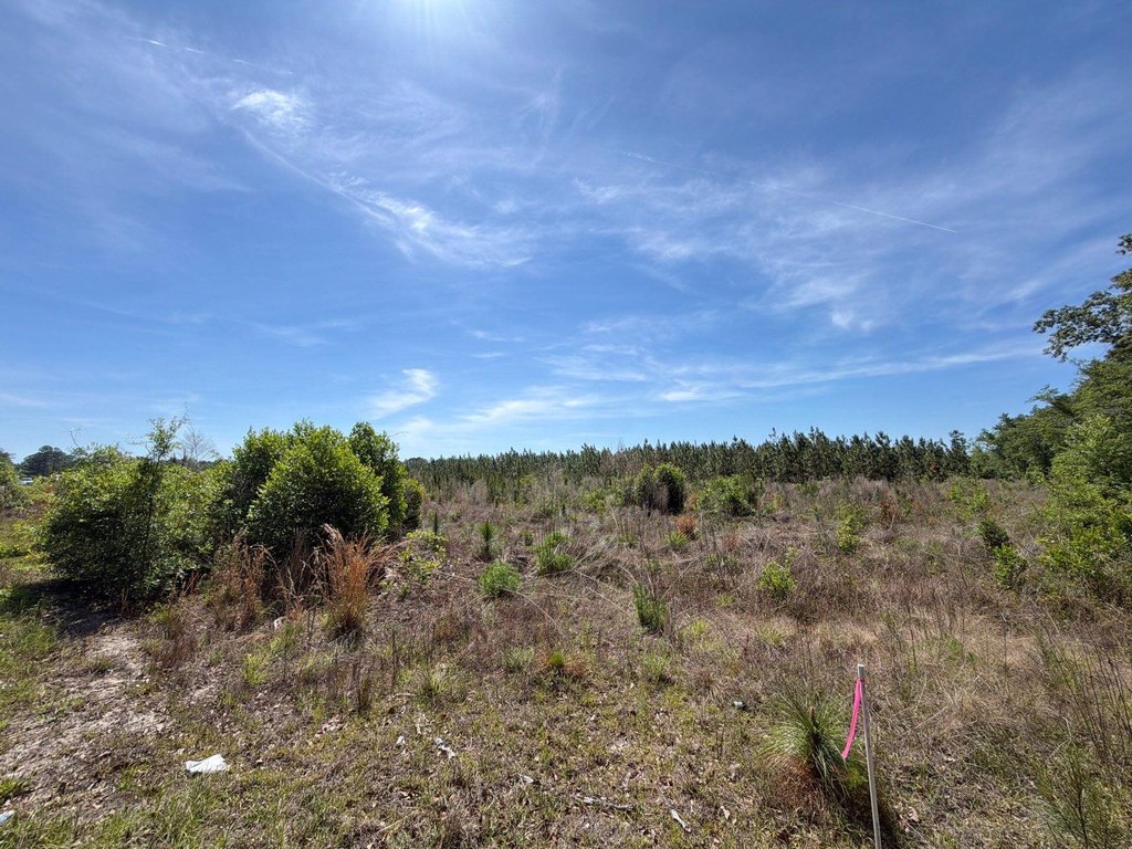 Picture 21