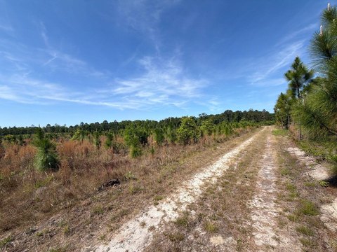 LAND - Wagener, SC