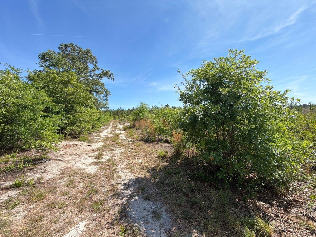 Picture 14