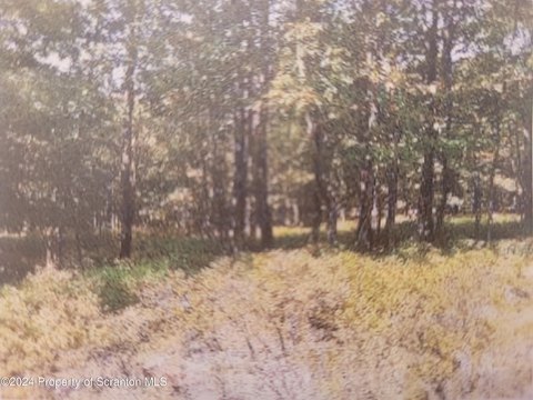 Land in Eagle Rock Resort