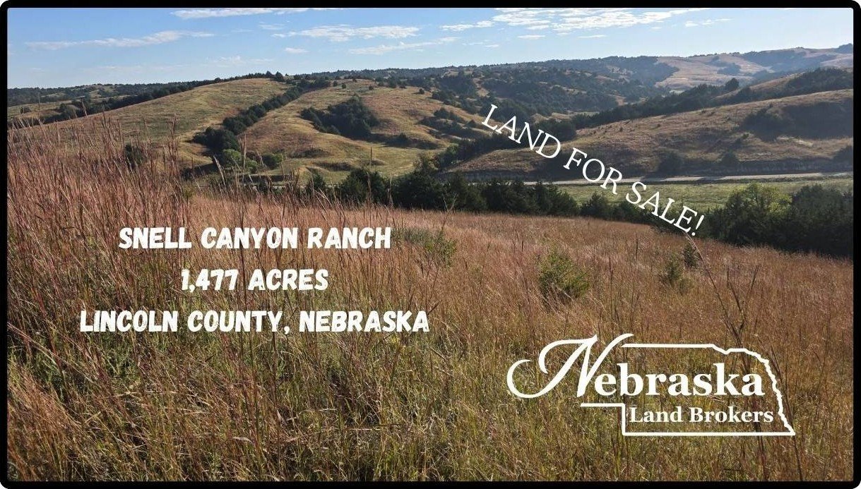 Nebraska Ranch with Hunting Potential