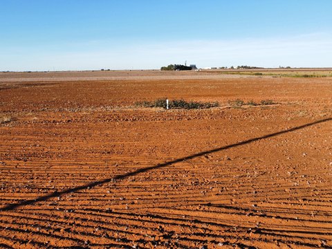 Land, Ropesville, TX