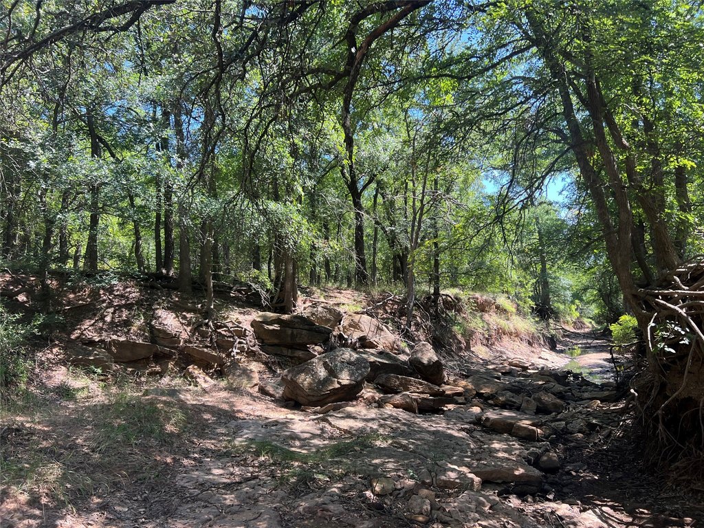 Picture 27