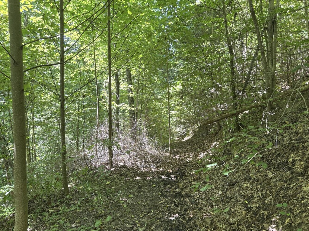 Picture 13
