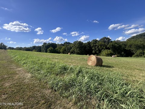 Residential Land in Blaine, TN