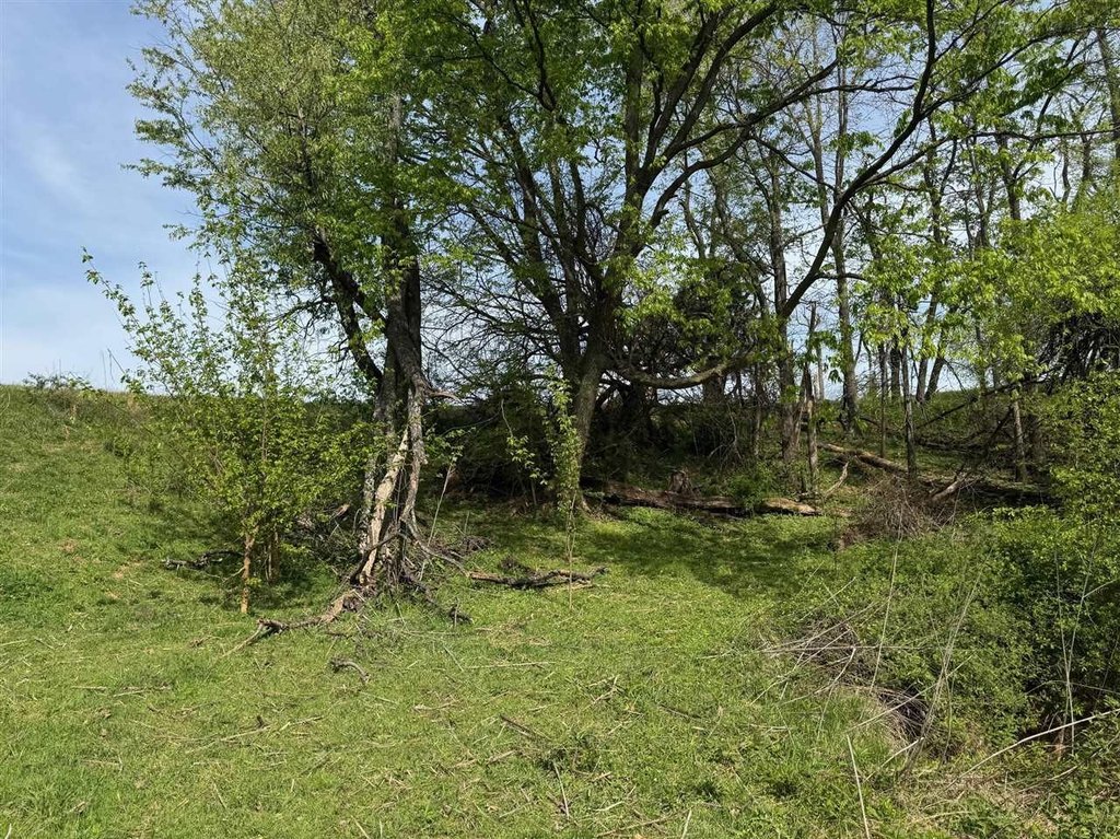 Picture 17