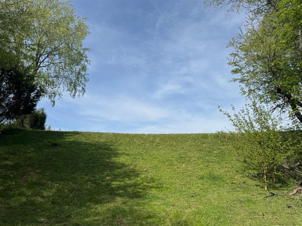 Picture 16