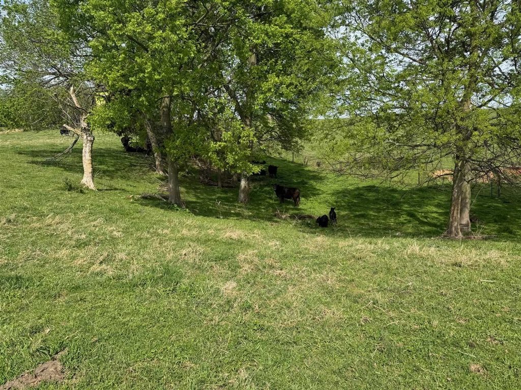 Picture 25