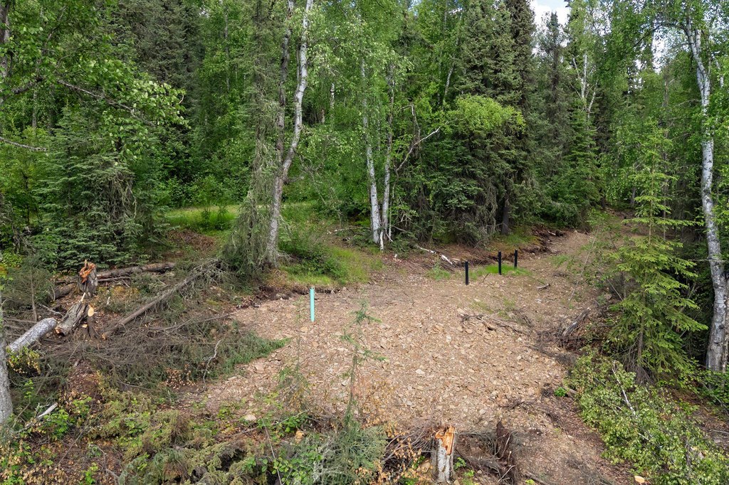 Picture 27