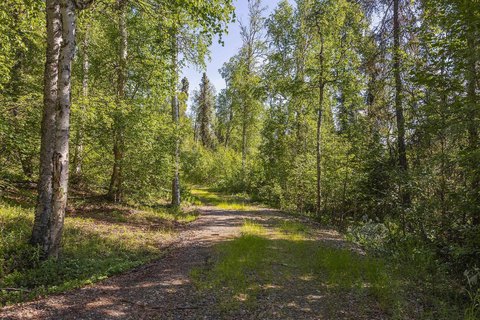 LAND - FAIRBANKS, AK