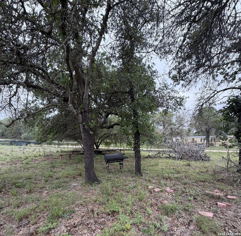 Picture 12