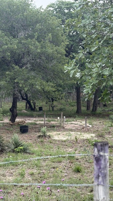 Picture 14