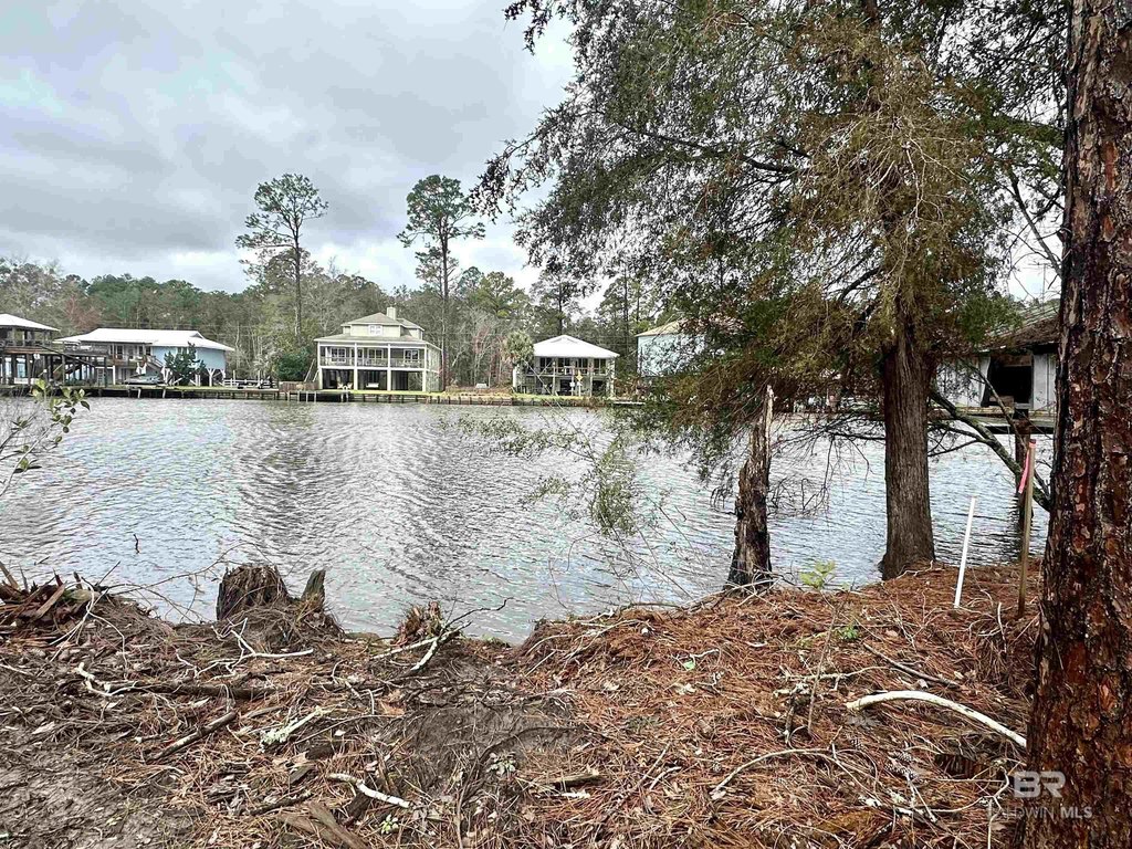 Picture 4