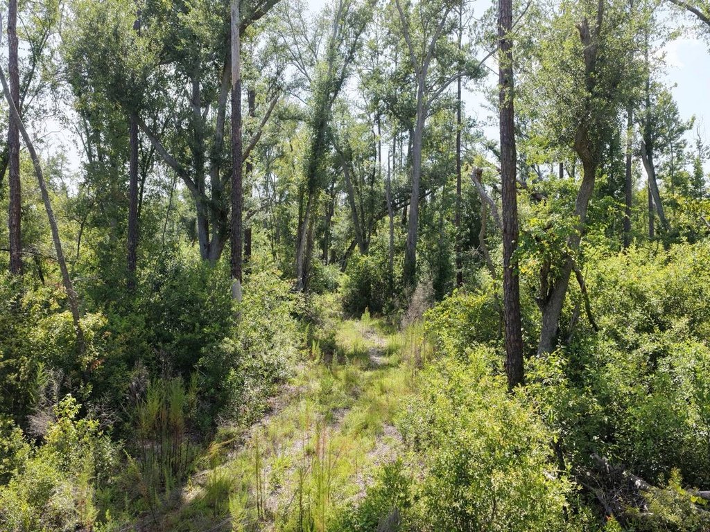 Picture 10