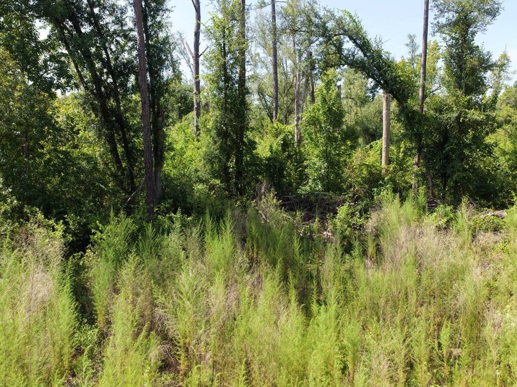 Picture 29