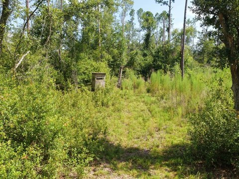Land, MADISON, FL