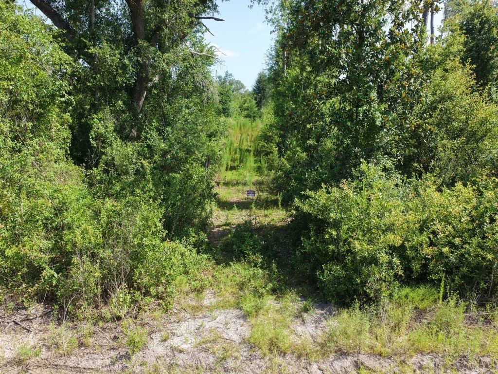 Picture 7
